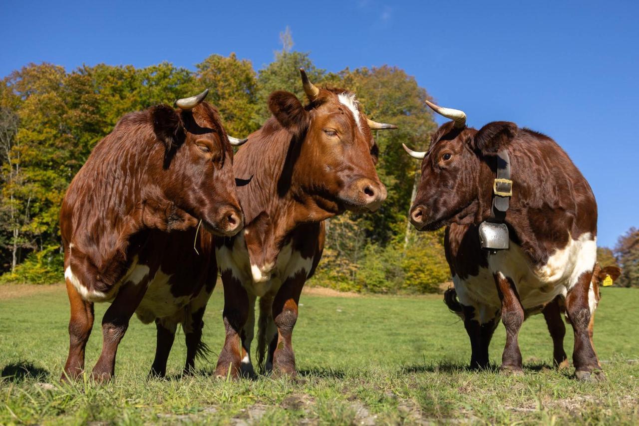 Ferienwohnungen Freidinglehen Marktschellenberg Exterior foto